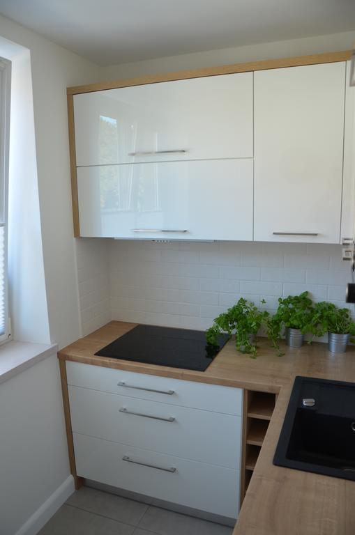 Apartament Na Starowce Grobla I Danzig Zimmer foto